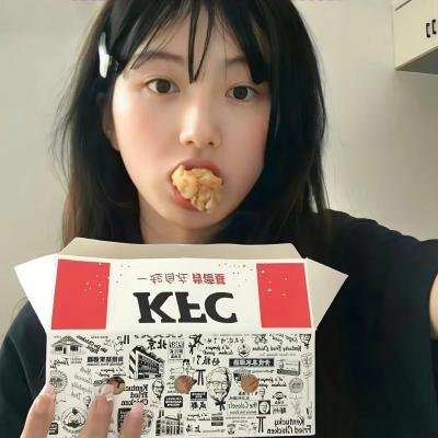 盗贼生涯